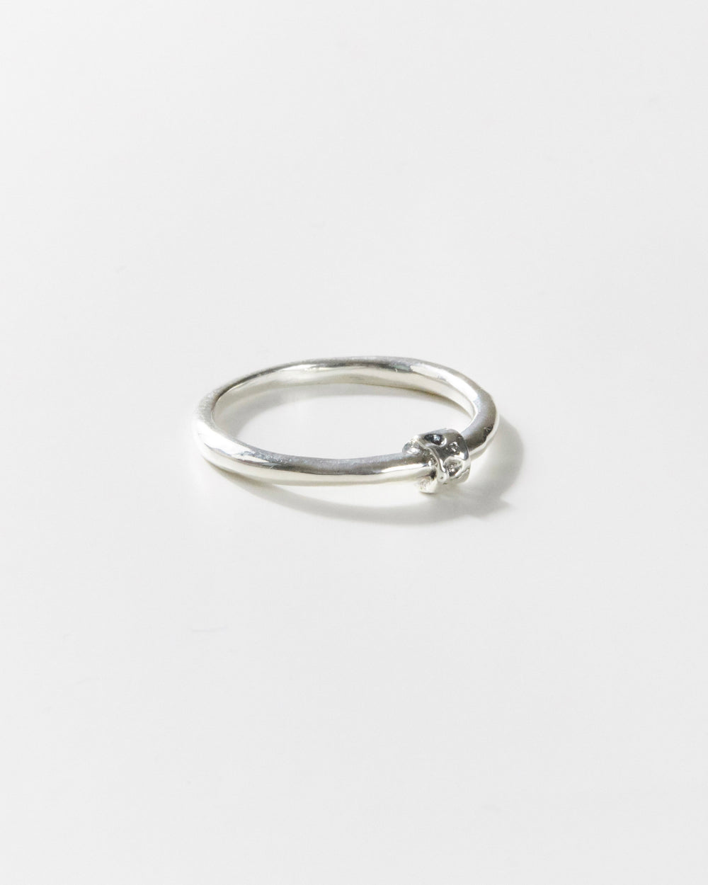 R474 - untamed silver