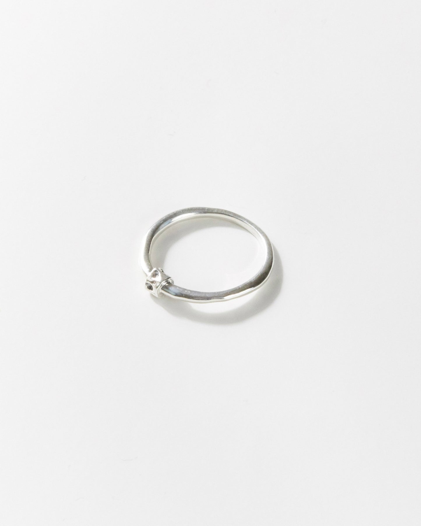 R474 - untamed silver