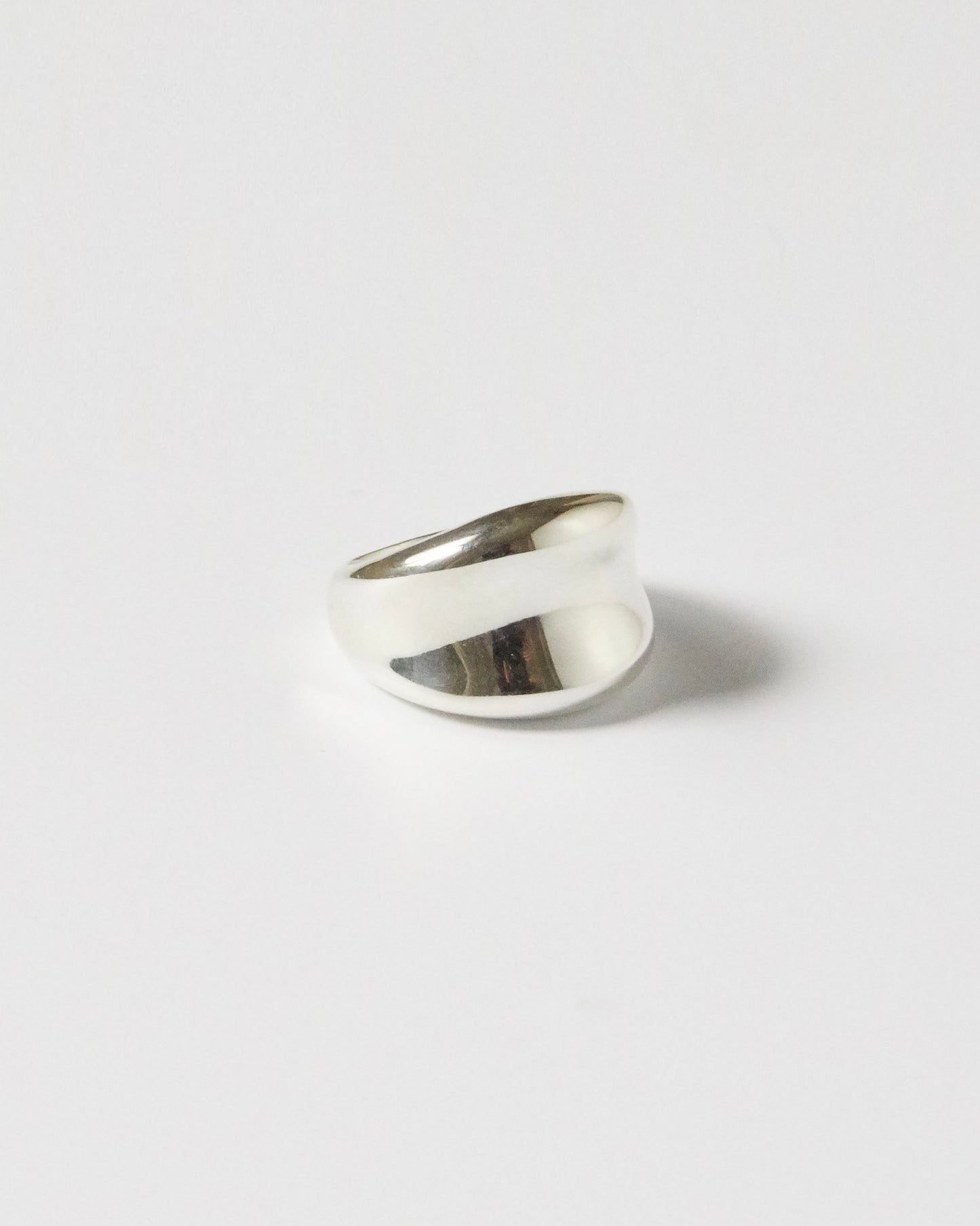 R501 - cloud sculpted dome