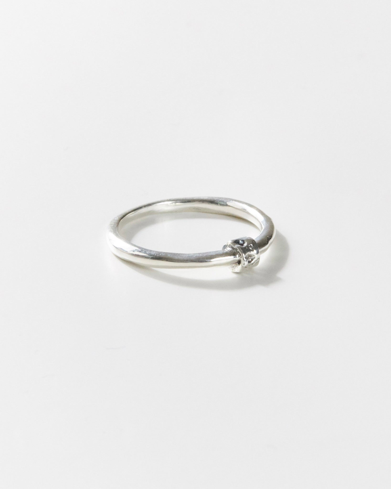 R474 - untamed silver