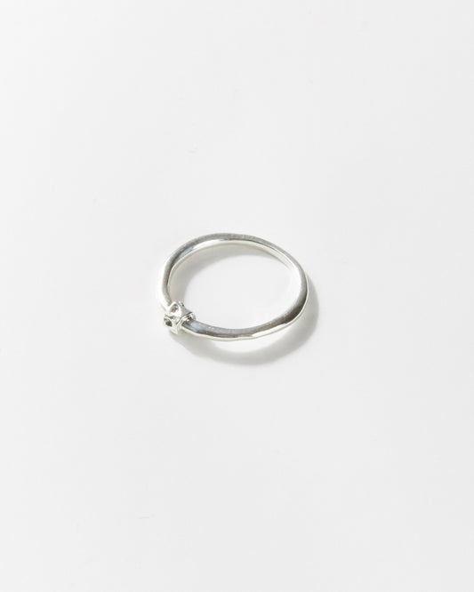 R474 - untamed silver