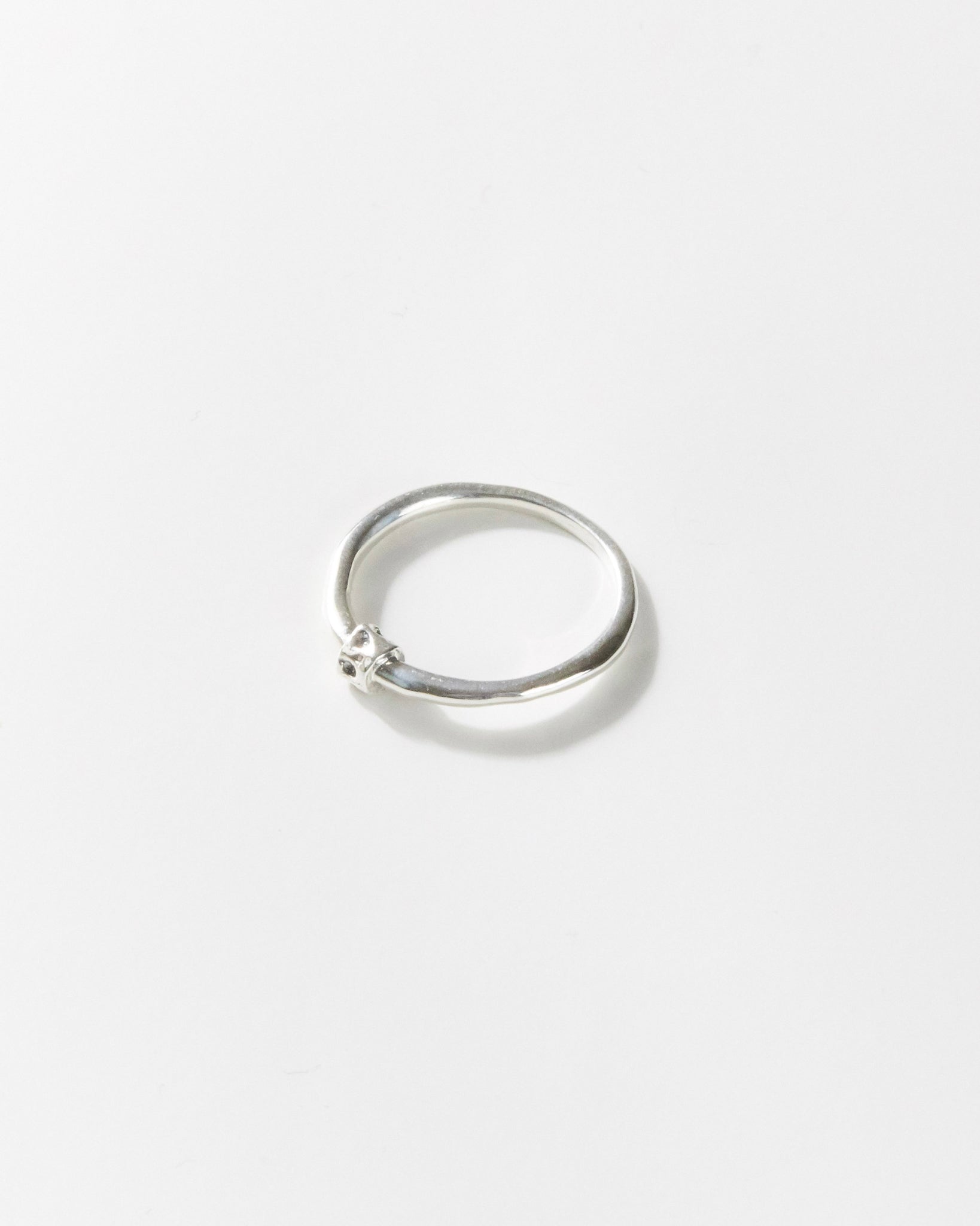 R474 - untamed silver *in stock